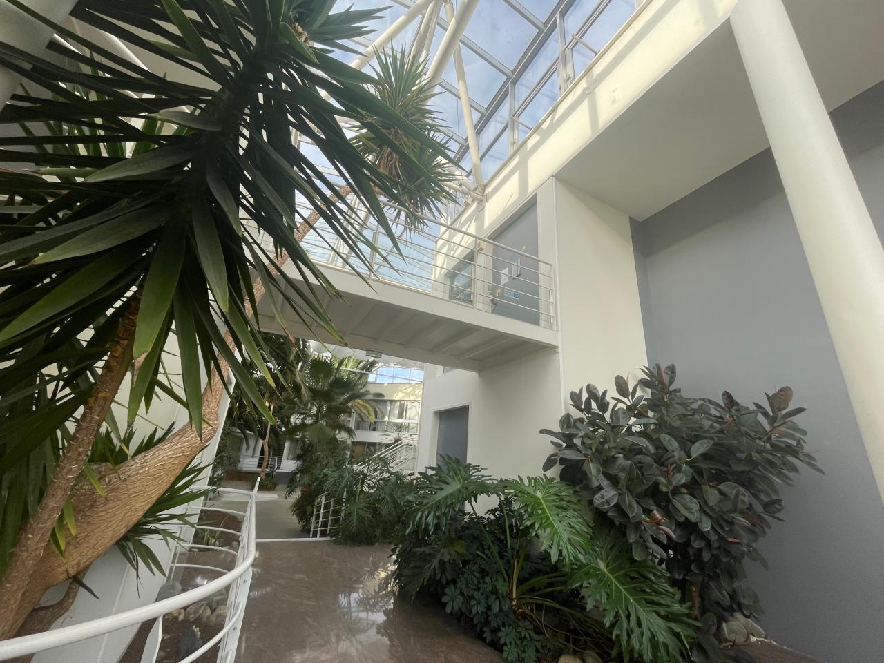 Bureau Bordeaux 1135m² Location bureau Bordeaux Gironde OLBUR2315625 7